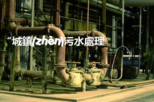“城鎮(zhèn)污水處理提質(zhì)增效，綠色以后共筑輝煌”